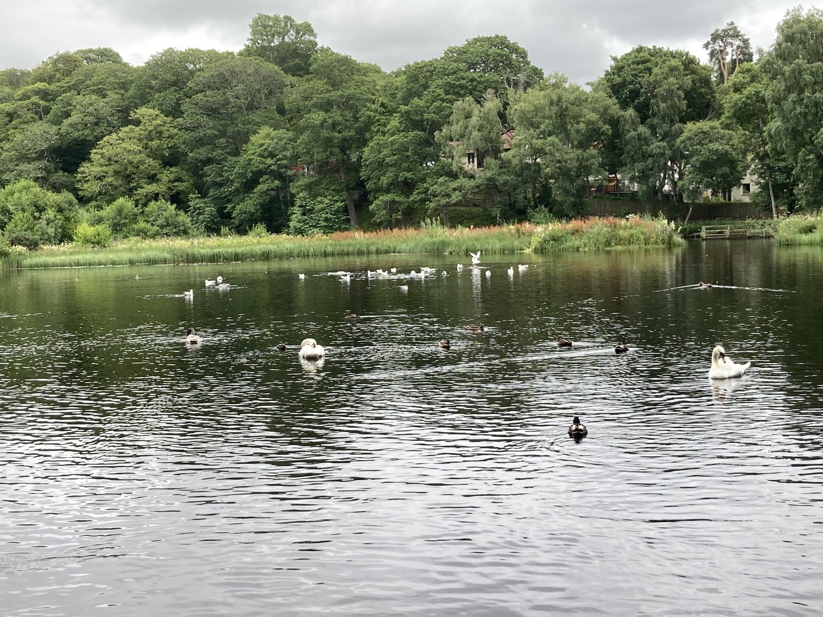 Sanquhar Pond Group