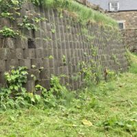 Edible Wall